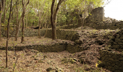 Crédit photo : Département de La Réunion