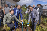 André Thien Ah Koon maire du Tampon, Lucien Giudicelli sous-préfet de Saint Pierre, et Cyrille Melchior président du Département entourent le Tan Rouge -, arbre endémique planté pour  l'occasion